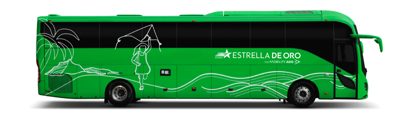 autobus-estrella-de-oro